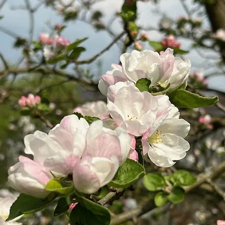 Lejlighed Vorwerk Biensdorf *