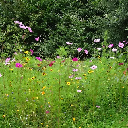 Lejlighed Vorwerk Biensdorf