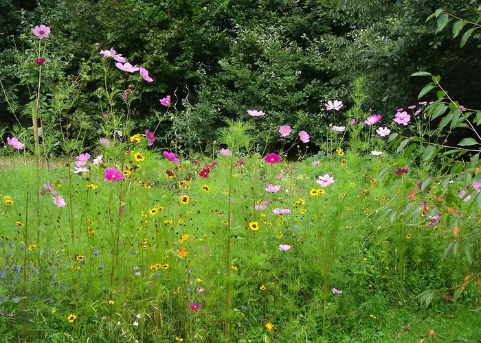 Appartement Vorwerk Biensdorf